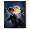 Malowanie Po Numerach Zestaw Harry Potter i księżyc 40x50